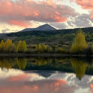 Meet your Posher, Bonnie